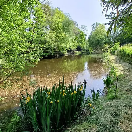 بيت للعطل La Maison De L'etang Normandie House With Pond *